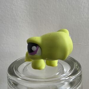 2/$20 LITTLEST PETSHOP LPS #350 HASBRO TURTLE  SHELL ORANGE GREEN PURPLE EYES